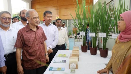 কৃষির উন্নতি নিয়ে সরকার কাজ করছে: কৃষি উপদেষ্টা