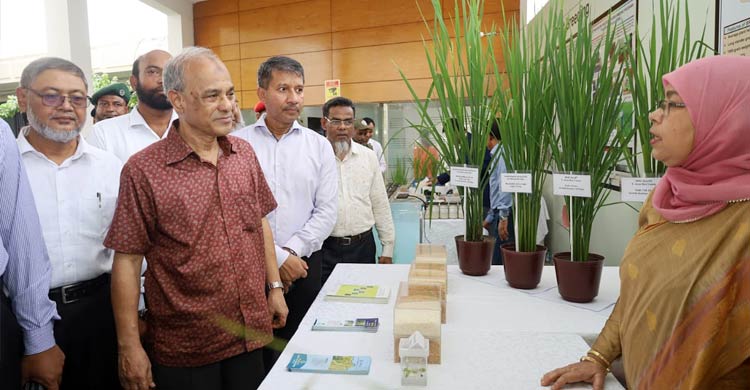 কৃষির উন্নতি নিয়ে সরকার কাজ করছে: কৃষি উপদেষ্টা