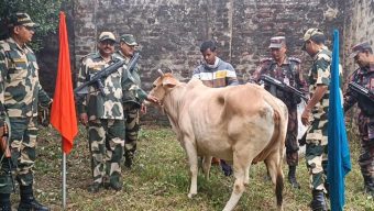 পতাকা বৈঠক করে গরু ফেরত নিল ভারত